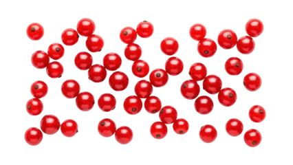 Isolated red currant berries, fruit in bunches, arrangement on light surface, fresh food