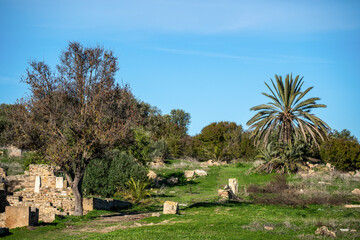 Colline de l'od&eacute;on et parc des villas romaines de Carthage