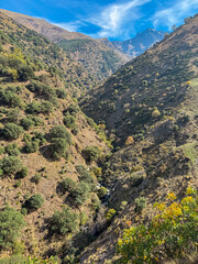 Scenic view captures the Genil river valley displaying vibrant autumn colors on the rugged slopes of Sierra Nevada mountains in Andalusia, Spain, under bright blue sky on the Verada de la Estrella.