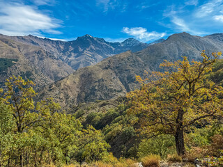 Vibrant autumn trees frame the rugged slopes of La Alcazaba and Mulhac&eacute;n peaks under a blue sky. This scenic landscape highlights the wild beauty of Vereda de la Estrella in Sierra Nevada, Spain.