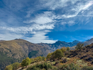 Scenic autumn trees cover the slopes beneath the majestic Mulhacen and Alcazaba peaks seen from the Vereda de la Estrella trail in the Sierra Nevada National Park, Andalusia, Southern Spain.