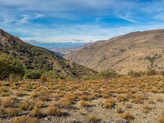 Dry golden tussock grass covers the foreground slope overlooking a deep valley, leading to the rugged brown peaks of the Sierra Nevada under a blue sky along the Vereda de la Estrella trail in Spain.