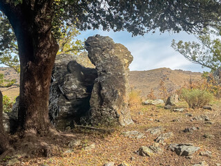 A massive tree trunk frames a rugged rock formation on the Vereda de la Estrella route, set against a backdrop of dry mountain slopes and blue sky in the scenic Sierra Nevada National Park in Spain.