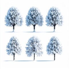 Six snow-covered trees against a white background.  Each tree is slightly different in its snow accumulation and branch structure, creating a variety of winter landscapes