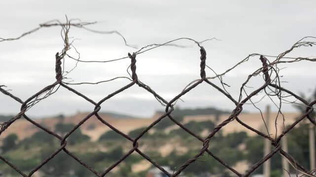 A corroded fence woven with dried branches and scattered leaves stretches across the frame reinforcing the impression of a guarded edge with no open access. Restricted perimeter.