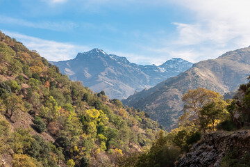 The snow-capped peaks of Alcazaba and Mulhac&eacute;n rise majestically above a colorful autumn forest in the Genil valley, capturing the breathtaking alpine scenery of the Sierra Nevada mountains in Spain.