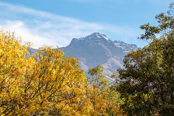 Vibrant golden autumn leaves frame the majestic peak of La Alcazaba rising against a blue sky, highlighting the seasonal beauty of Sierra Nevada National Park in Granada, Andalusia, Spain.