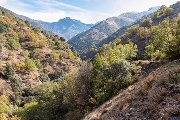 Vibrant autumn vegetation covers the steep slopes of the Genil valley with towering Sierra Nevada peaks in the background, viewed from the Vereda de la Estrella in Granada, Andalusia, Spain.