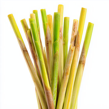 AI-generated image - A fresh, vibrant bunch of green lemongrass stalks (Cymbopogon citratus) isolated on a white background. 