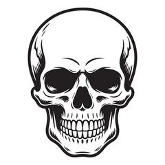 Fototapeta premium human skull vector illustration