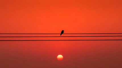 A bird perches on horizontal lines against an orange sunset sky, bright sun between lines, serene and elegant tones.