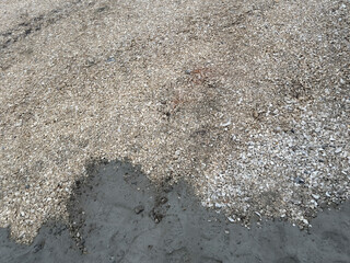 A shore covered in pebbles meets the water in the afternoon. Small rocks and sand are present