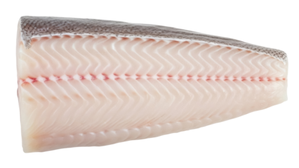 Isolated raw European sea bass fillet ready to be cooked, healthy, protein-rich food source