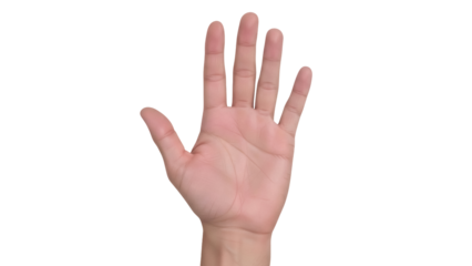 Isolated hand showing five fingers, counting or greeting gesture, studio shot