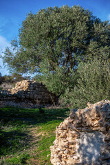 Colline de l'od&eacute;on et parc des villas romaines de Carthage