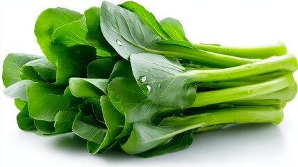 Vibrant green leaves form distinct pile healthy foliage collected creating natural mound