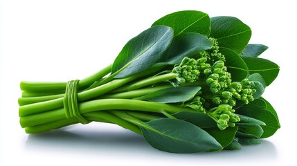 Obraz premium Fresh green vegetables harvested and prepared diverse selection of fresh green produce