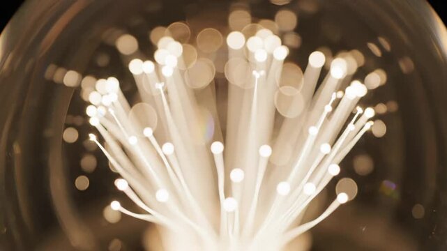 Glowing fiber optic filaments emerge and recede within a glass bulb, illuminating a futuristic abstract pattern