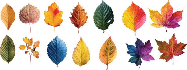 Obraz premium set of colorful autumn leaves