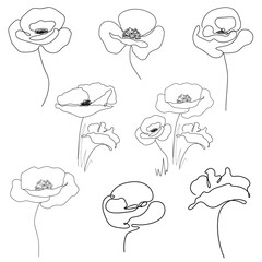 Continuous line drawing of a poppy. Set of isolated black and white poppies. Poppy icon, logo