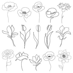 A collection of single ine flowers. A set of minimalist, isolated poppies, tulips, roses, and other flowers. Black and white doodles.