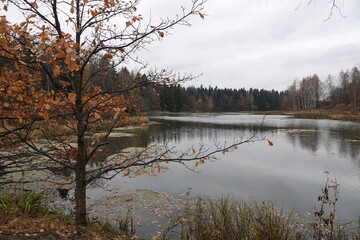 Obraz premium Vorya River in the museum-reserve 