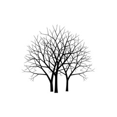 Obraz premium Bare Winter Tree Silhouette Against Plain Light Background branches