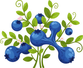 Blueberries on a Branch with Leaves.