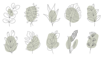 Collection of minimalist botanical line art illustrations abstract leaf shapes with organic pastel backgrounds perfect for modern decor and branding