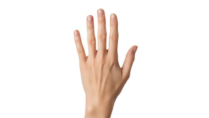 Fototapeta premium Isolated hand making stop gesture, human body part, raised palm to block, control, prevent