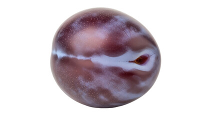 Isolated prune fruit, a fresh ripe plum, still life on display, a tasty and juicy treat, food item