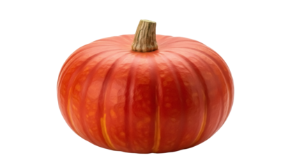 Isolated orange pumpkin squash or gourd for autumn harvest festival or Thanksgiving day