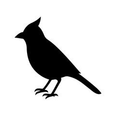 Obraz premium Black silhouette of a powerful eagle or hawk standing majestically in profile view