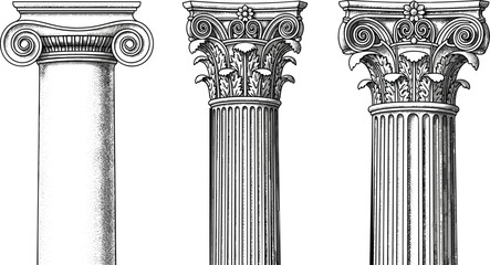 Obraz premium Detailed architectural illustration of classical Greek and Roman columns with ionic and corinthian capitals in vintage style