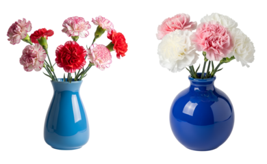 Blue vases with carnation flower bouquets isolated PNG. Collection of pink red and white dianthus blooms. Ceramic home decoration items for mother's day gift isolated