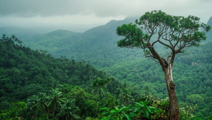 Obraz premium Mountain peak during Thailand's rainy season, highlighting erosion and natural seasonal change