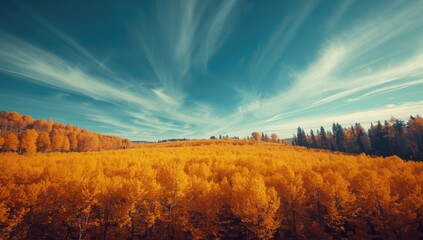 Vast forest landscape with golden trees under a clear blue sky, suitable for environmental awareness visuals, Earth Day