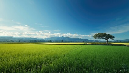 Obraz premium Traditional village landscape in Gokayama, Toyama, Japan, highlighting seasonal change and preservation, World Heritage Day