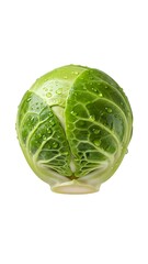Close-up of a fresh green Brussels sprout cut in half with water drops isolated on a white background. Healthy vegetable and organic food concept.