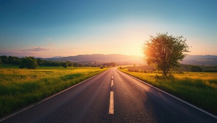 Fototapeta premium Forest-lined roadway illustrating conservation and environmental protection
