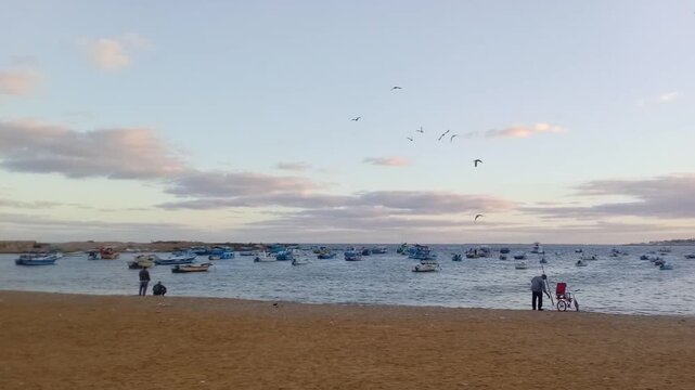 For fishing, fishermen are standing on a beach opposite Al-Kour Island (Miami Island) and many boats. Birds are flying in the sky. A view of the Mediterranean Sea and the sky is near sunrise.
