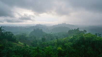 Rainy season landscape of dense forest with mist cover, environmental conservation