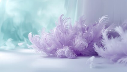 Blurred purple feather background from a chicken, ideal for layout or text overlay use