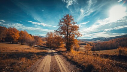 A scenic country lane surrounded by colorful autumn foliage, highlighting seasonal transition