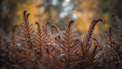 Naklejka premium Autumn forest scene with dried fern leaves creating an abstract background for environmental or landscape projects