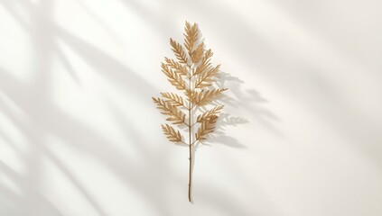 Dried yarrow stalks with intricately carved leaves, prepared for herbal application, World Herbal Medicine Day