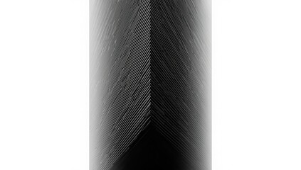 Close-up of a facade in monochrome showing minimalist exterior design with sharp geometric forms, focusing on structural integrity