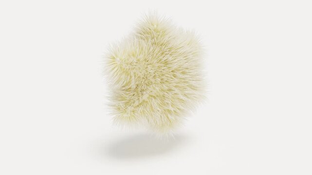 Hair fur star shape on white bg able to loop endless 4k