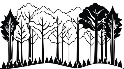 A Beautiful Grove of Diverse Trees Standing Together in the Forest