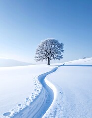 Obraz premium A solitary tree stands majestically in a pristine snow-covered landscape, with a winding path leading towards it under a clear blue sky.